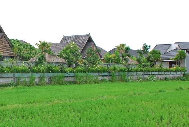 Djabu Seminyak Hotel Denpasa Buitenkant foto